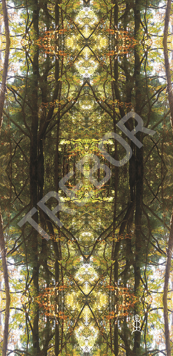 TREBOR - Forest mirror