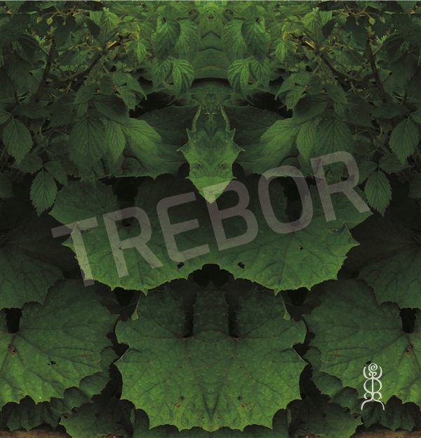 TREBOR - Der Grüne Drache